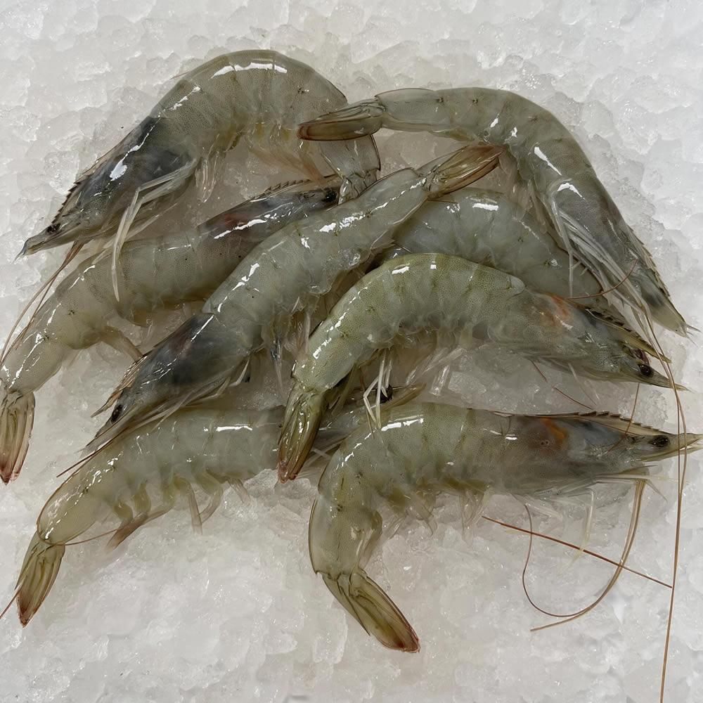 Wild Caught King Prawns 